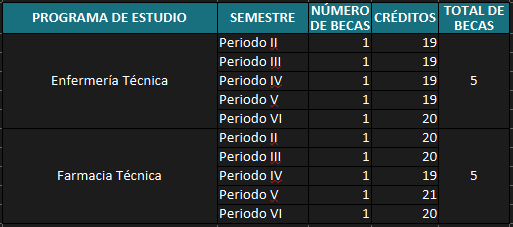 Becas por rendimiento académico 2025-2031 del IESTP Antonio Raymondi
